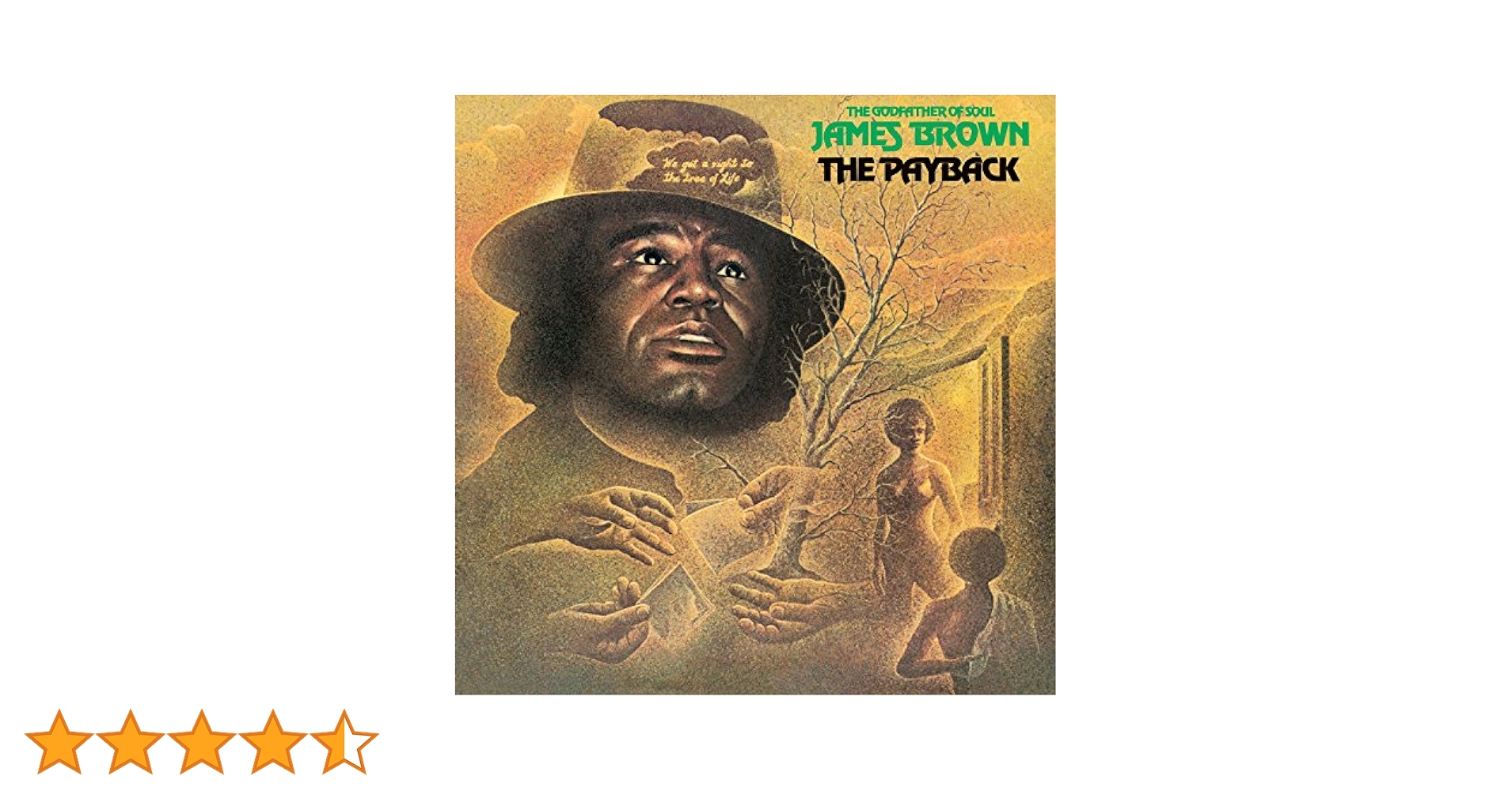 James Brown The Payback 2LP レコード James Brown - The Payback (Vinyl 2xLP)